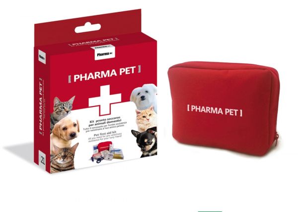 Kit di pronto soccorso per gatti: i prodotti necessari